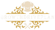 GrowthDrivePlan